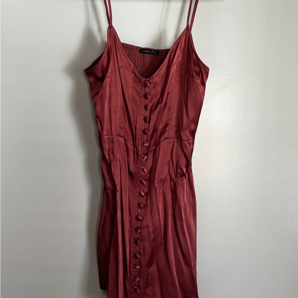 Abercrombie & Fitch Rust Red Satin Button-Front Mini Dress